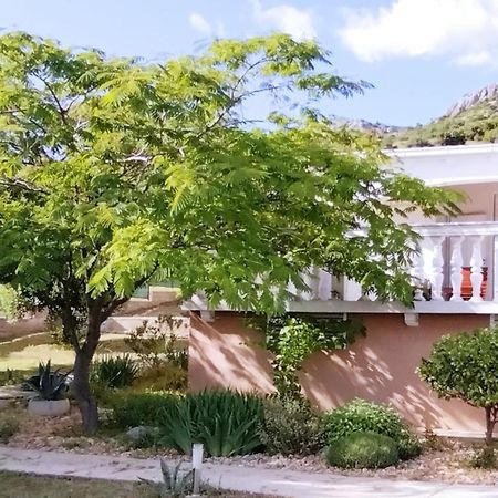 The Garden Of Elais Villa Sibenik Exterior photo