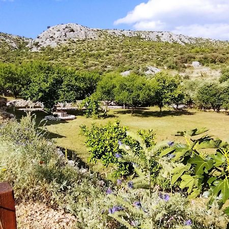 The Garden Of Elais Villa Sibenik Exterior photo