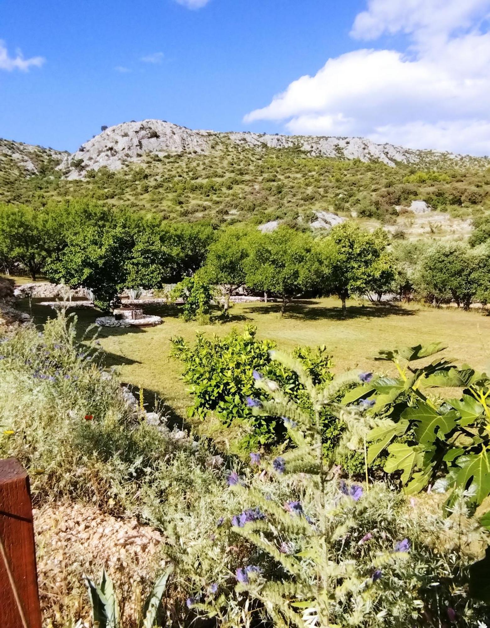 The Garden Of Elais Villa Sibenik Exterior photo