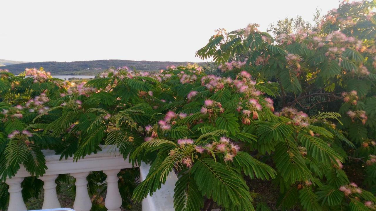 The Garden Of Elais Villa Sibenik Exterior photo
